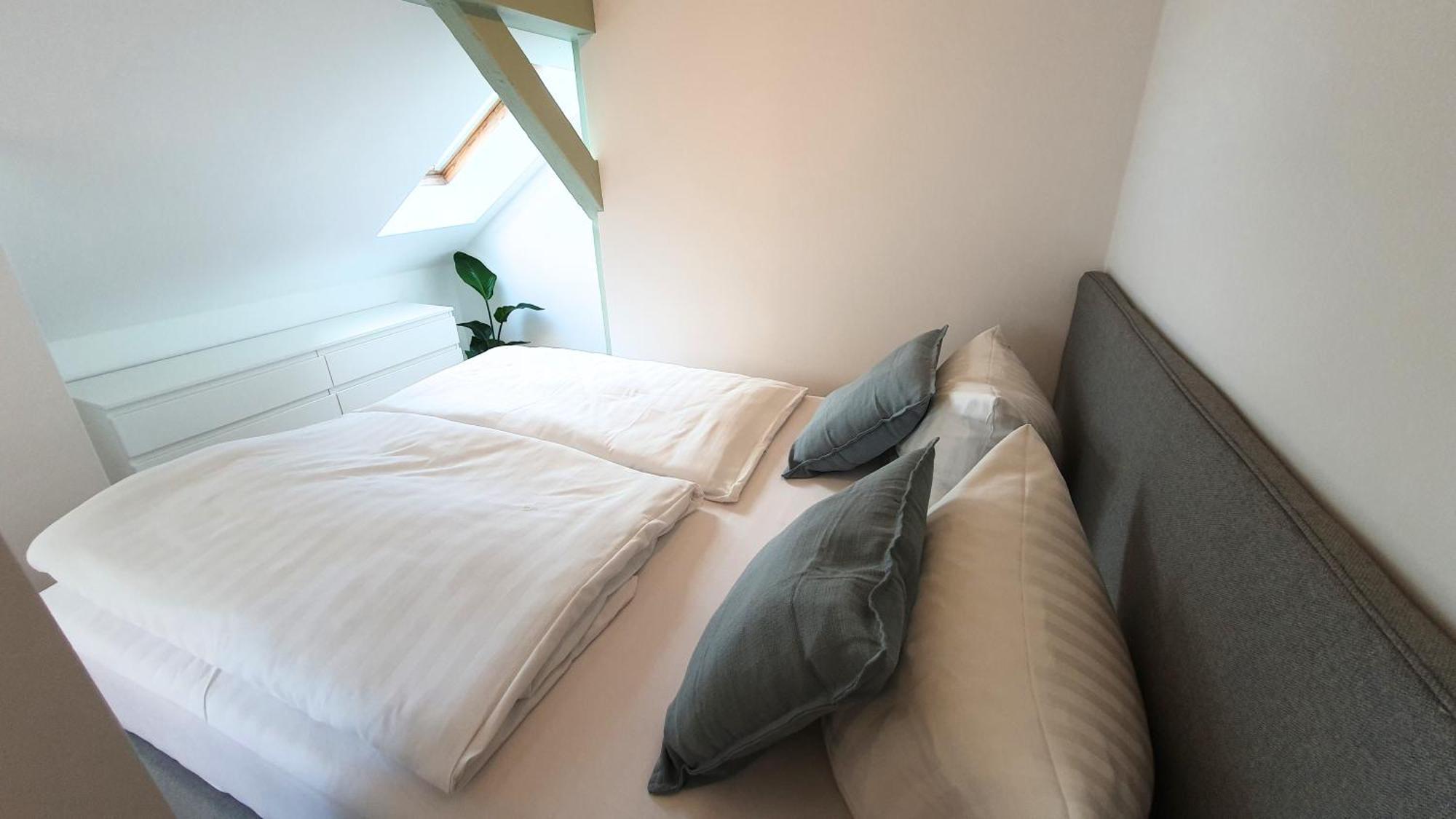 דרזדן Good Stay Aparthotel Mit Kostenlosen Parkplaetzen מראה חיצוני תמונה